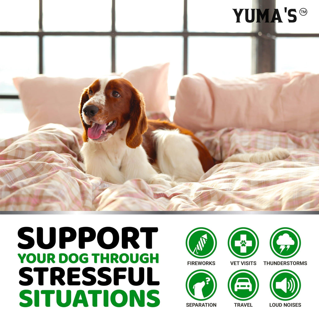 Hemp Calming Chews for Dogs-Anxiety Supplement-Beef Flavor-170 Count