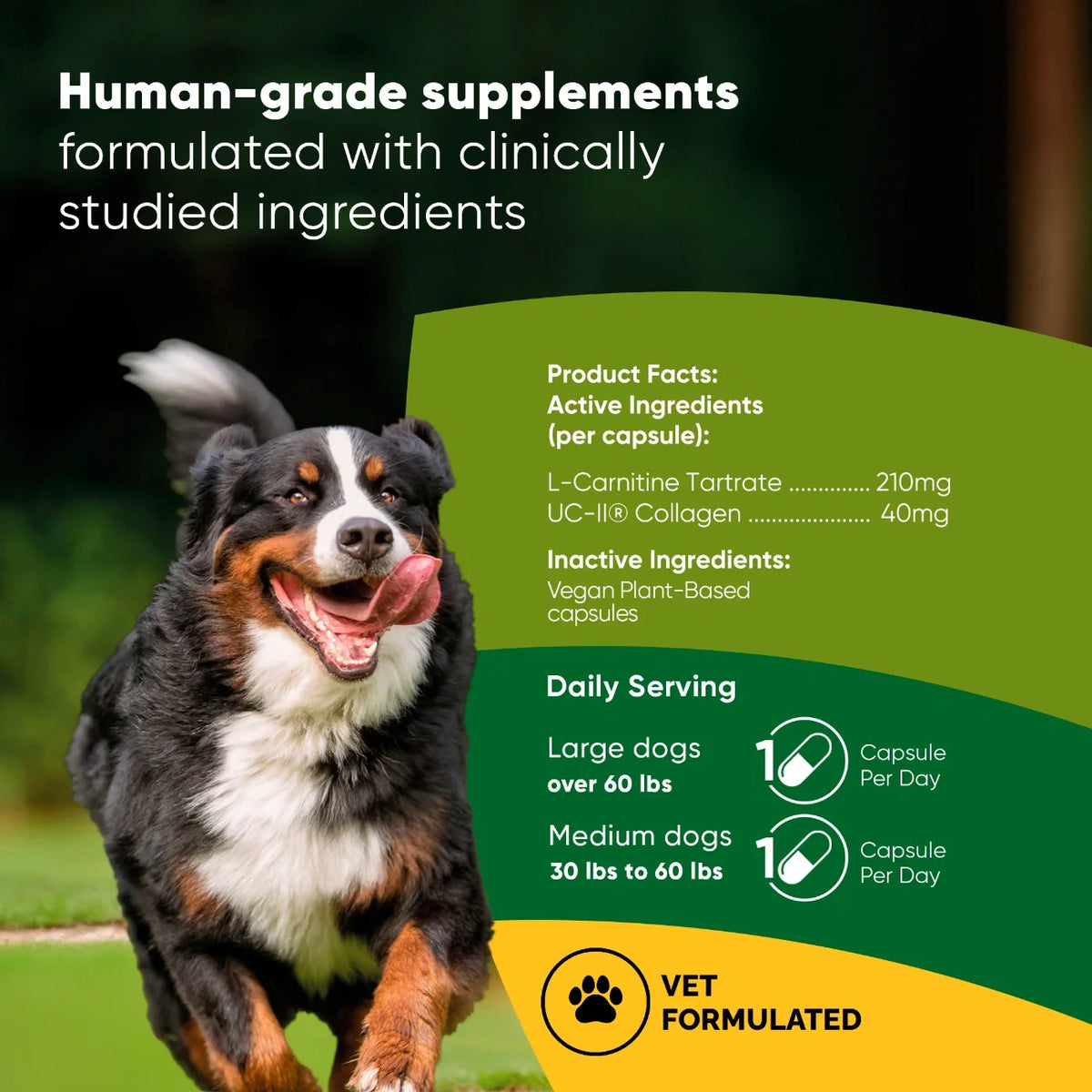 Joint & Muscle Health-Medium & Large Dogs