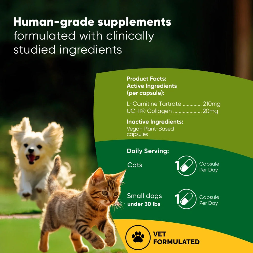 Joint & Muscle Health-Cats & Small Dogs