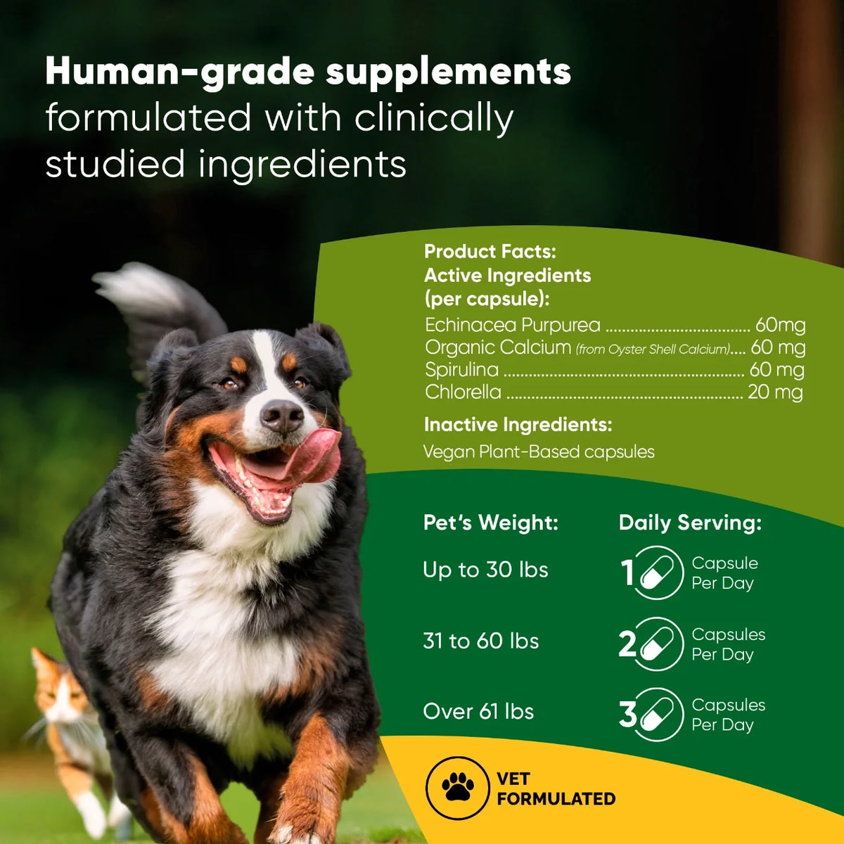 Spirulina & Chlorella-Cats & Dogs