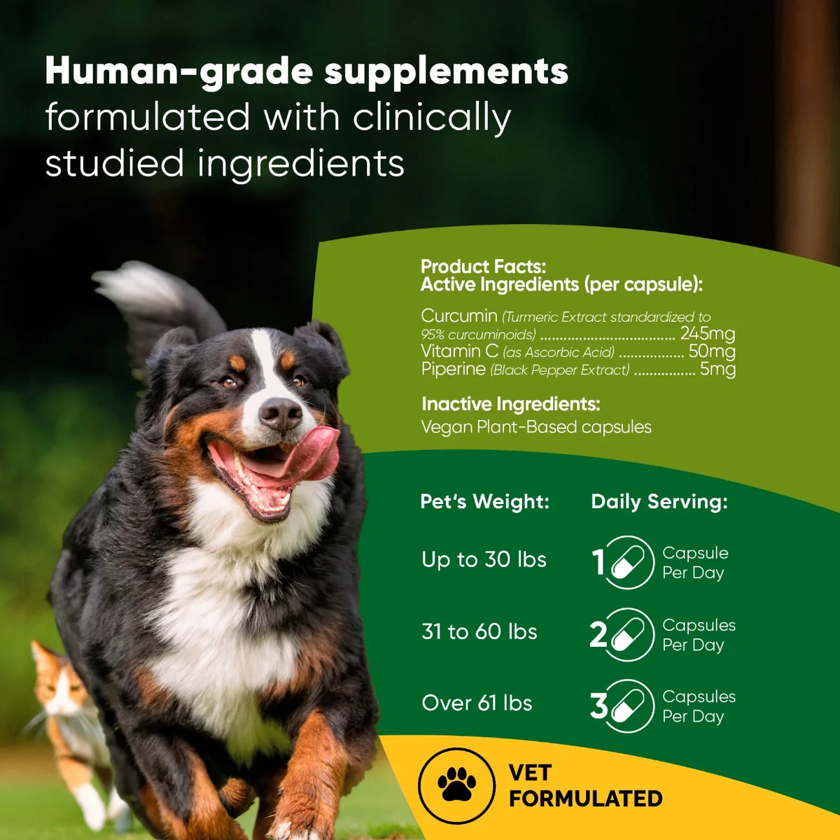Turmeric-Cats & Dogs