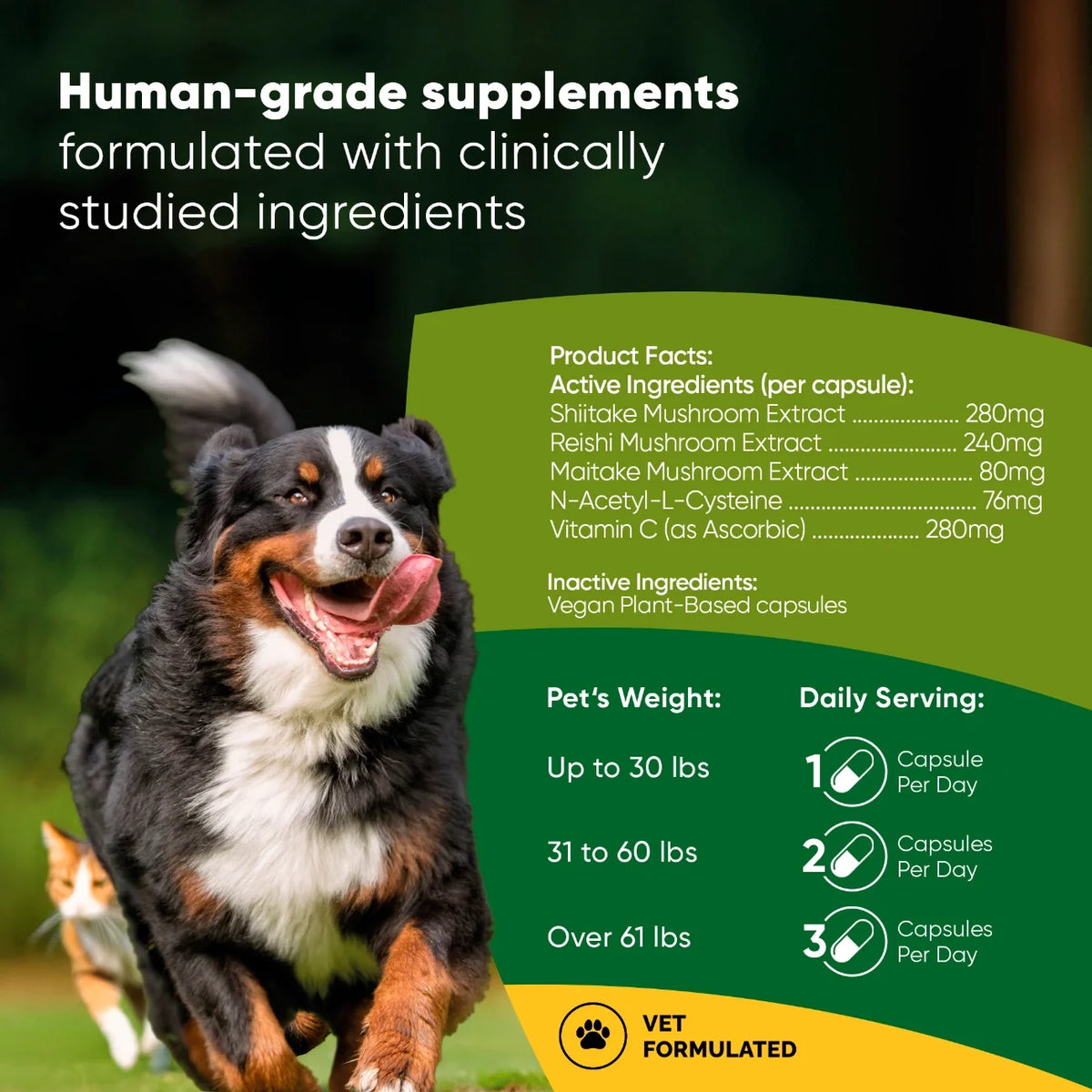 Mushroom Immune Support-Cats & Dogs