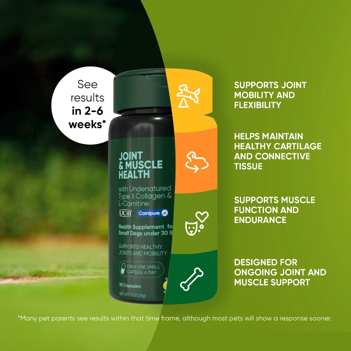 Joint & Muscle Health-Cats & Small Dogs