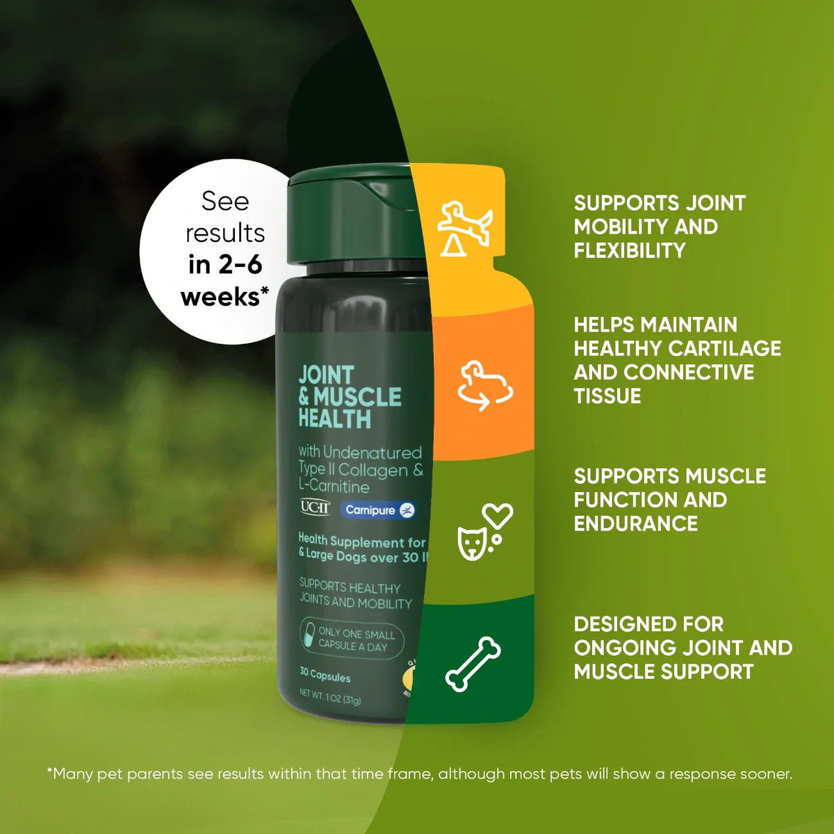 Joint & Muscle Health-Medium & Large Dogs