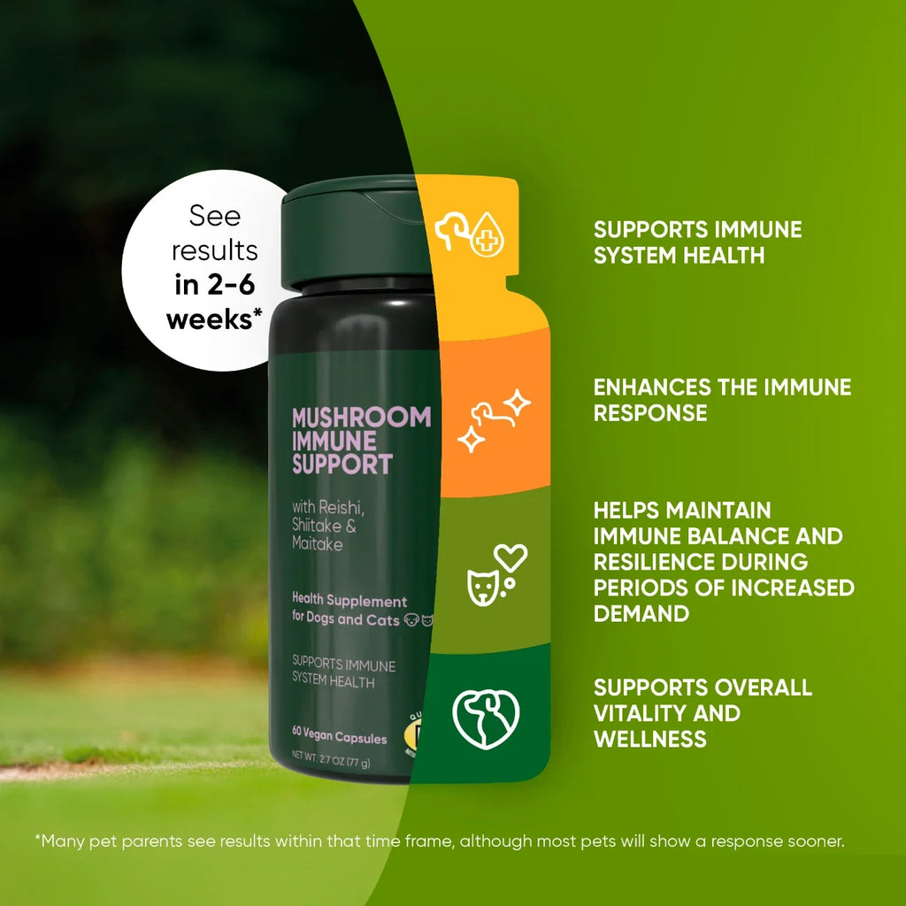 Mushroom Immune Support-Cats & Dogs