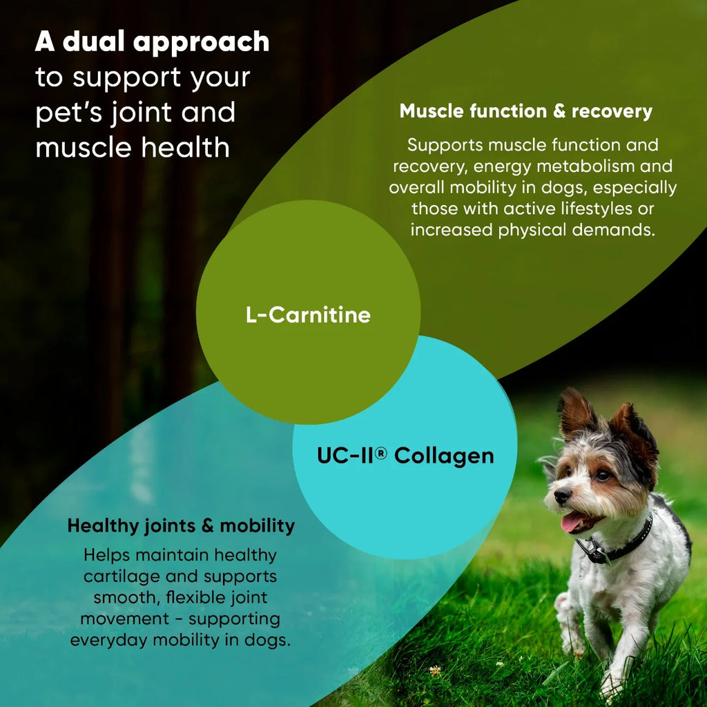 Joint & Muscle Health-Cats & Small Dogs