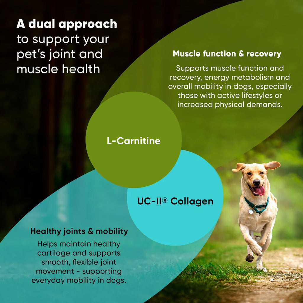 Joint & Muscle Health-Medium & Large Dogs