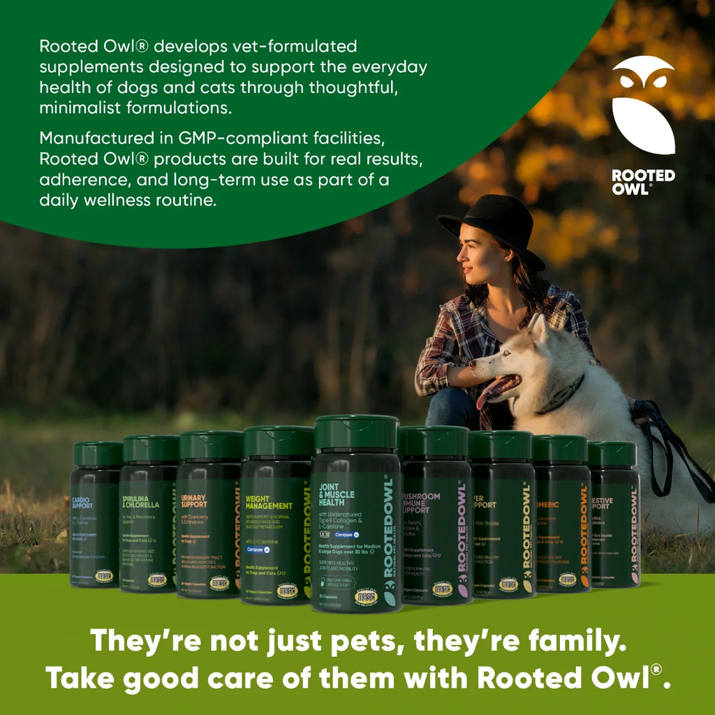 Mushroom Immune Support-Cats & Dogs