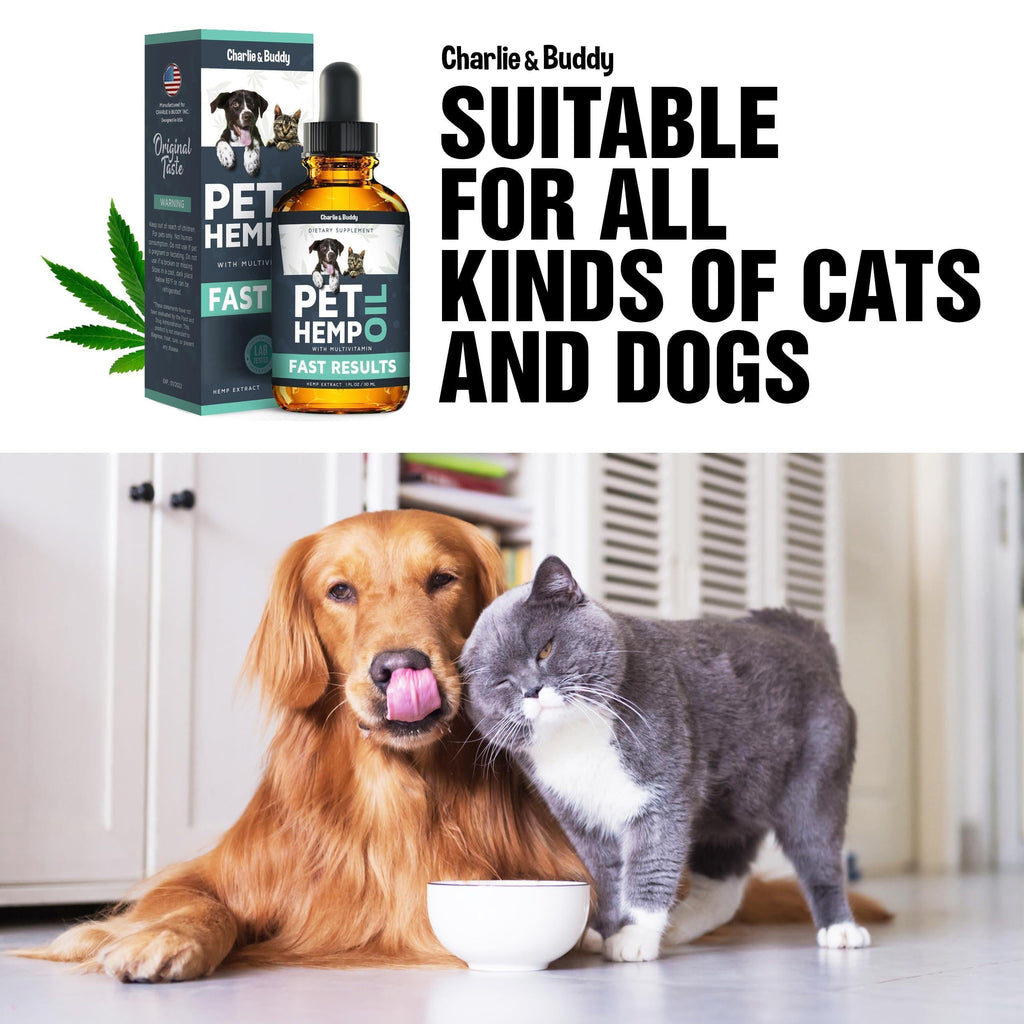Hemp Oil for Dogs & Cats - Anxiety, Stress, Sleep, Pain, Arthritis & Joint Supplement - 1 Fl Oz