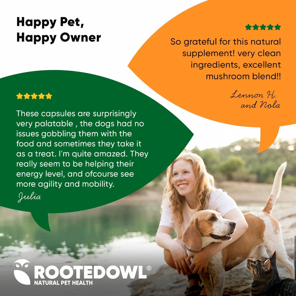 Mushroom Immune Support-Cats & Dogs