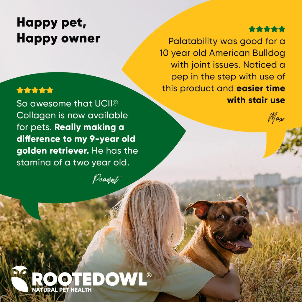 Joint & Muscle Health-Medium & Large Dogs
