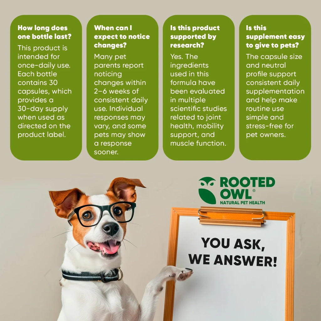 Joint & Muscle Health-Cats & Small Dogs