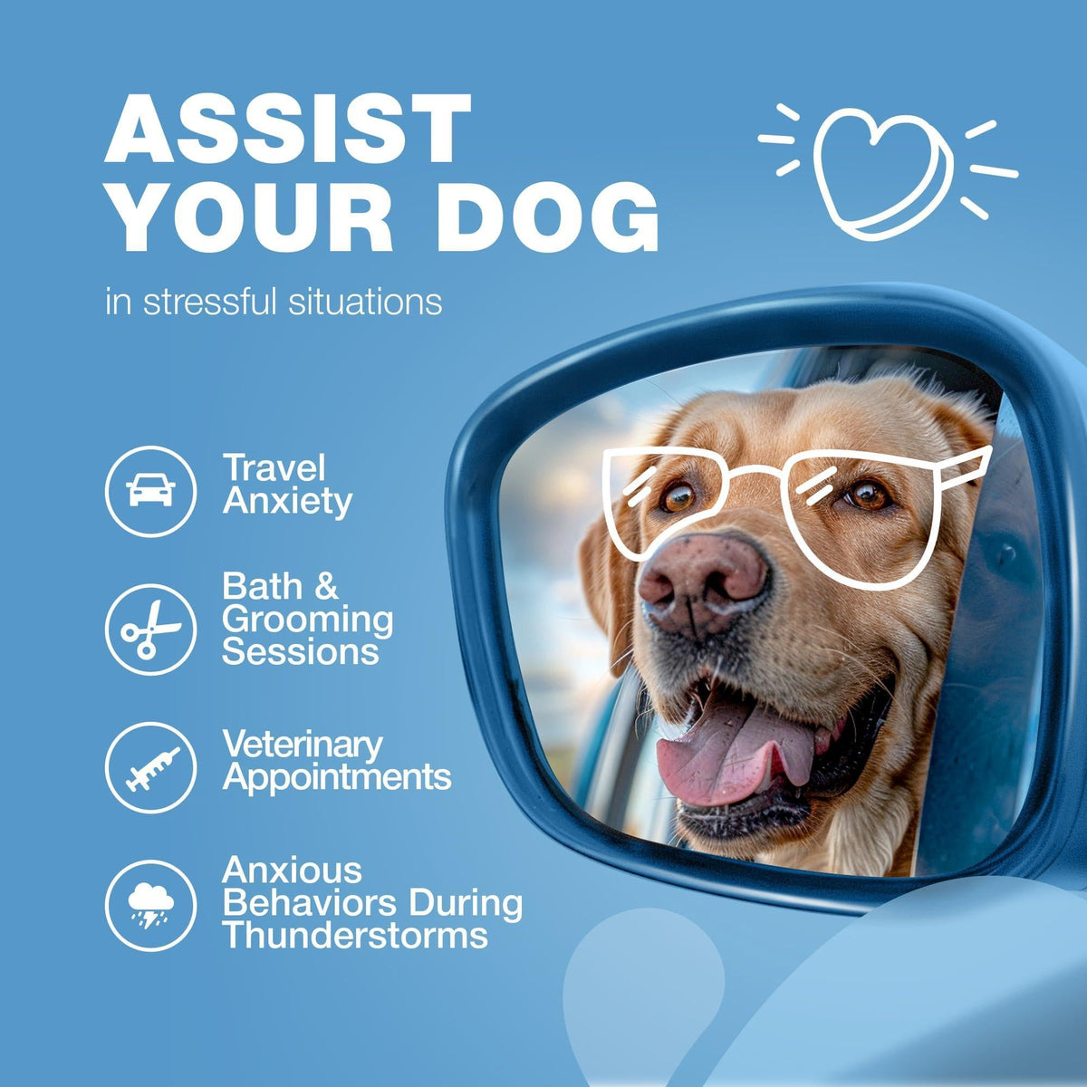 Hemp Calming Chews for Dogs-Anxiety Relief-L Theanine & Chamomile