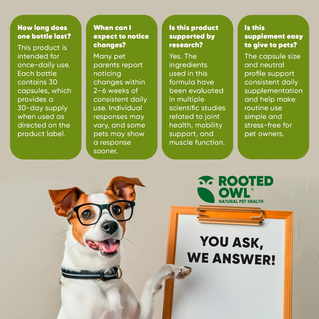 Joint & Muscle Health-Medium & Large Dogs