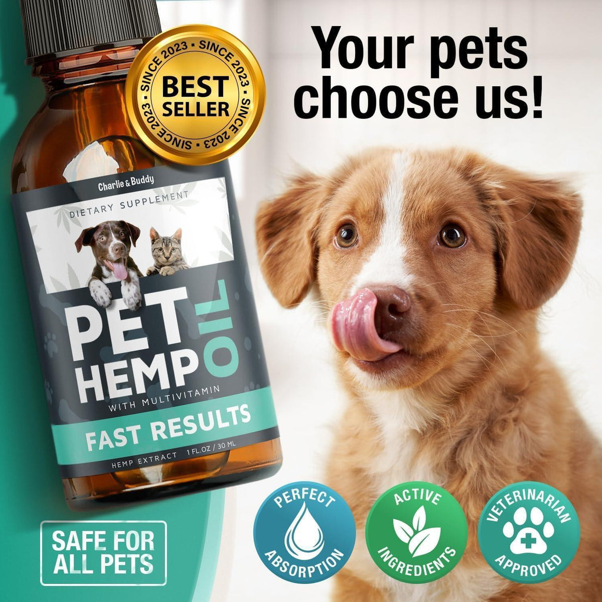 Hemp Oil for Dogs & Cats - Anxiety, Stress, Sleep, Seizures, Pain, Arthritis & Hip Joint Supplement - 2 Pack
