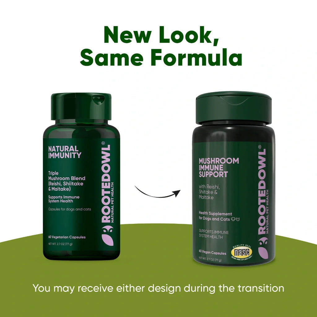 Mushroom Immune Support-Cats & Dogs