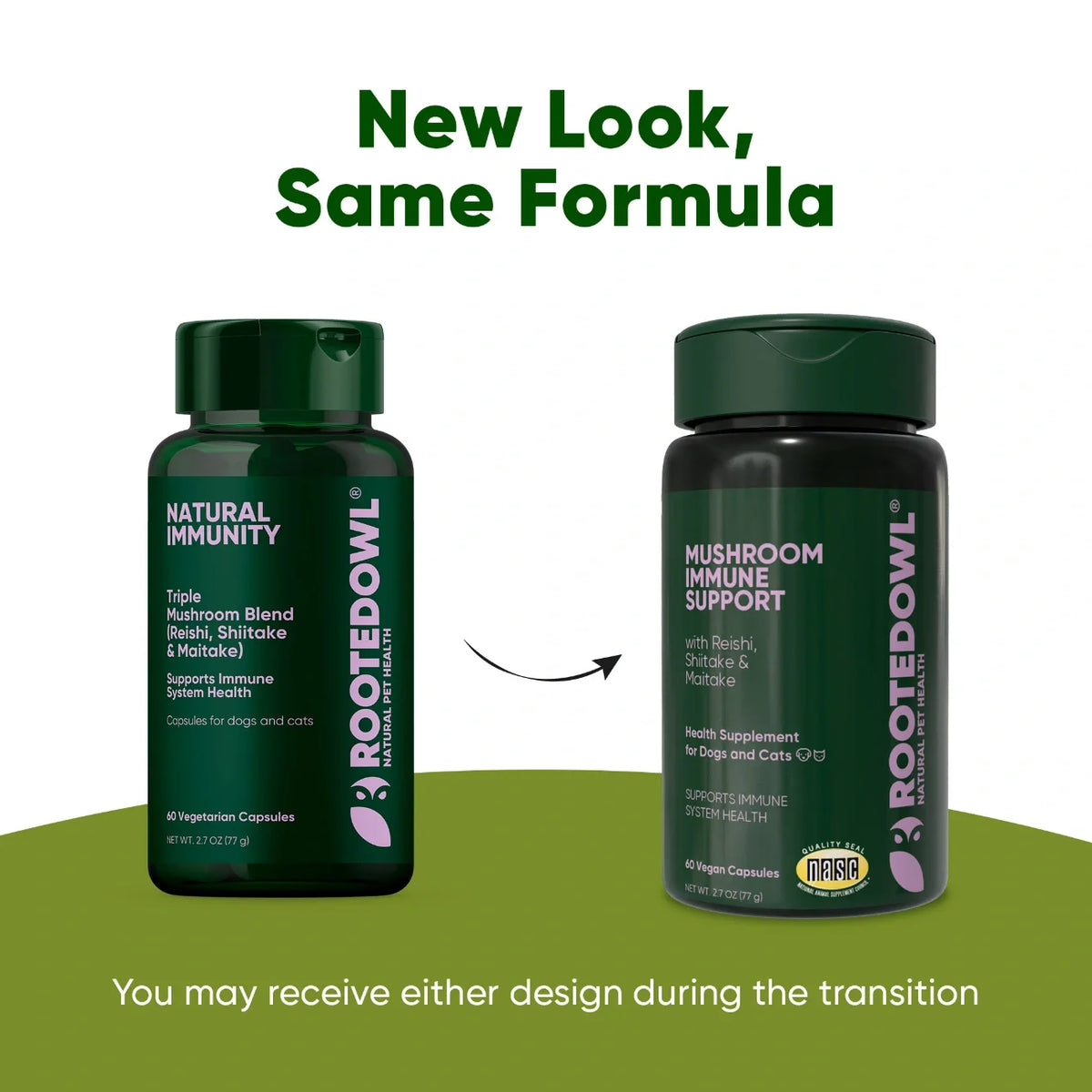 Mushroom Immune Support-Cats & Dogs