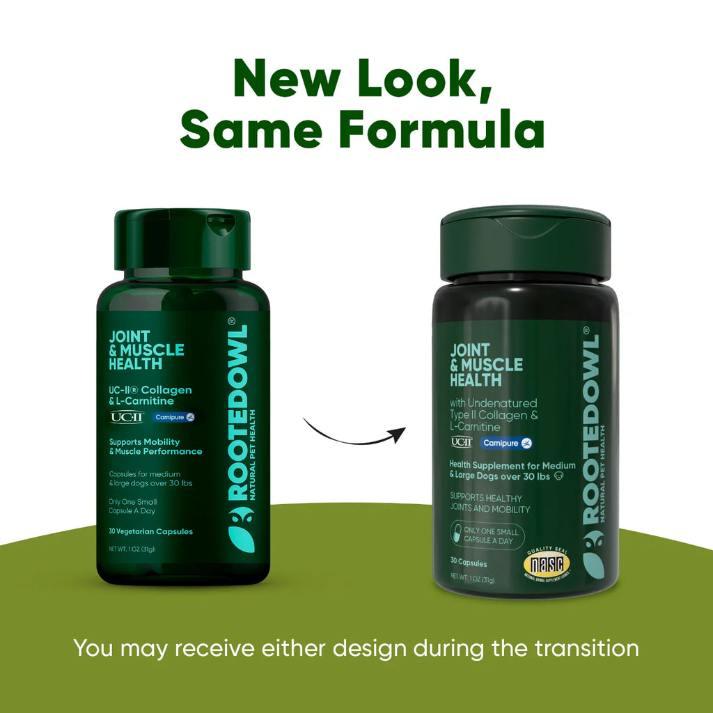 Joint & Muscle Health-Medium & Large Dogs