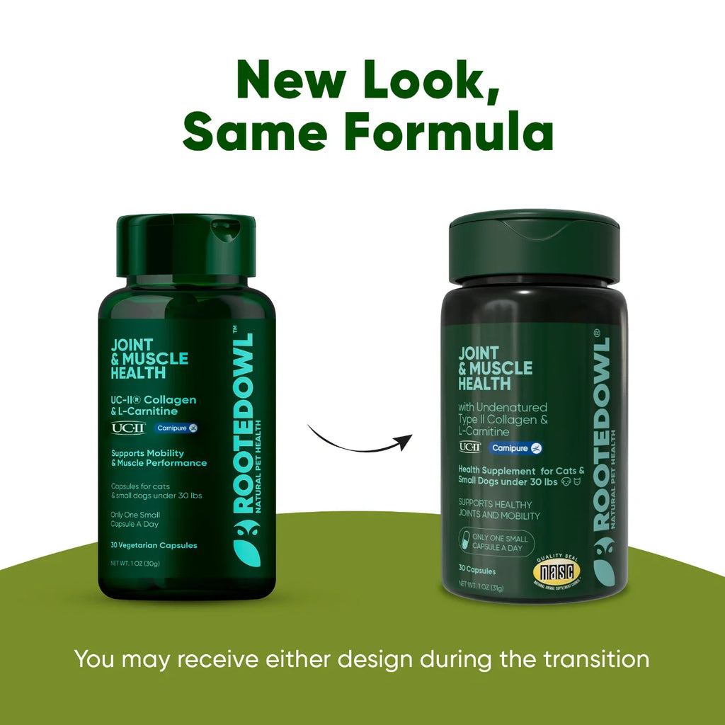 Joint & Muscle Health-Cats & Small Dogs