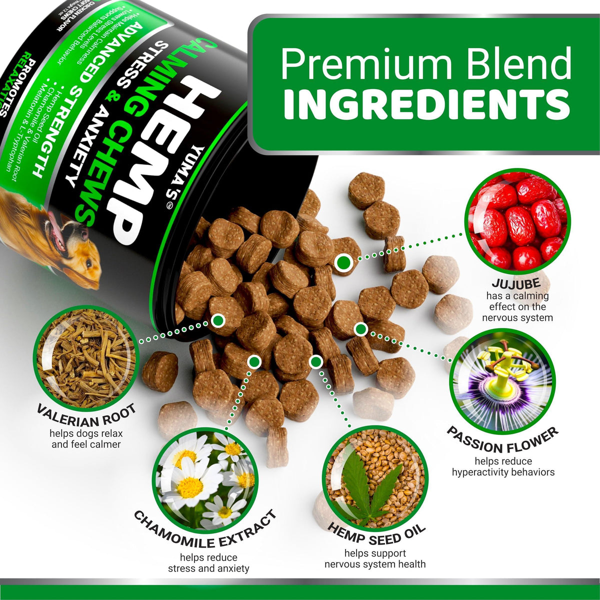 Hemp Calming Chews for Dogs-Chicken Flavor-170 Count