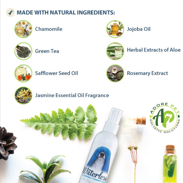 Waterless Shampoo + Conditioner (1 oz)