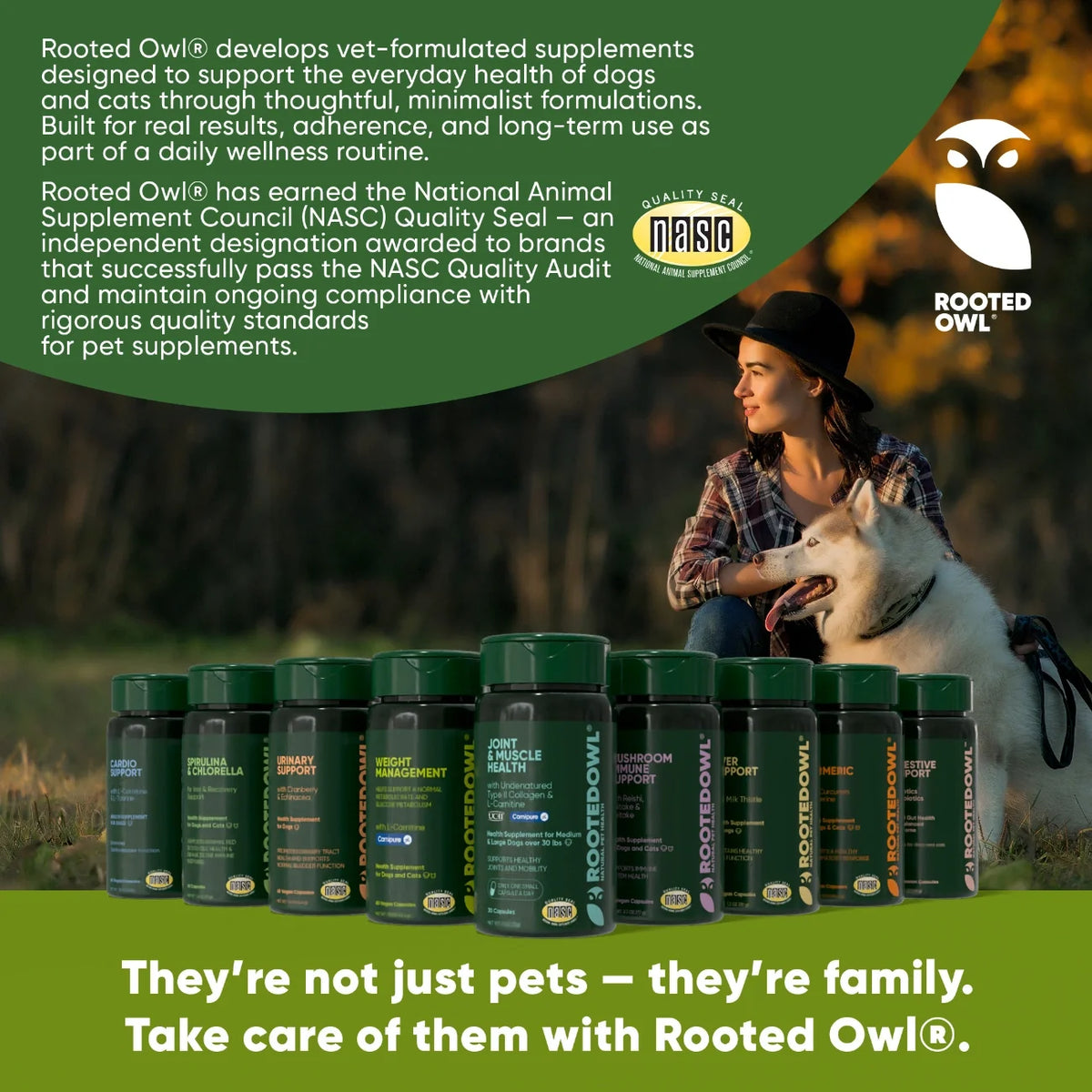 Mushroom Immune Support-Cats & Dogs