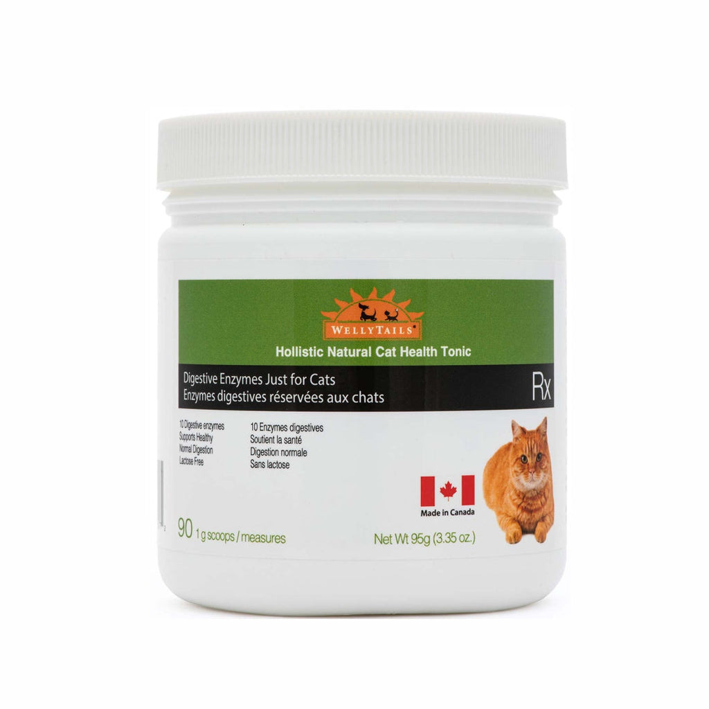 JUST FOR CATS-Digestive Enzymes 90g