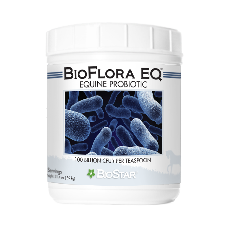 BioFlora EQ-Equine GI Tract Support