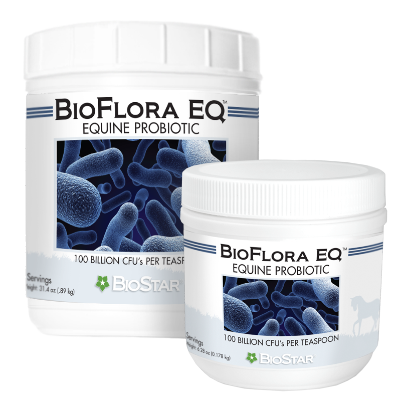 BioFlora EQ-Equine GI Tract Support