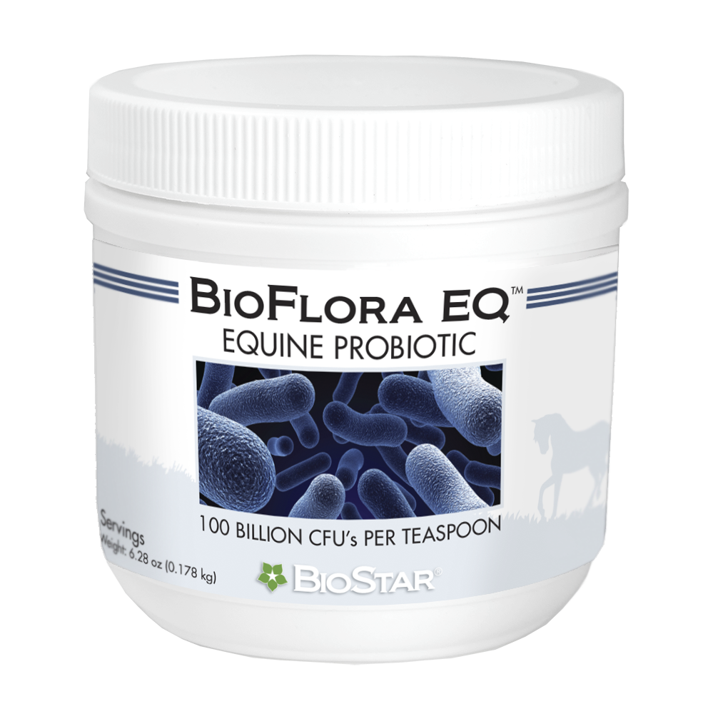 BioFlora EQ-Equine GI Tract Support