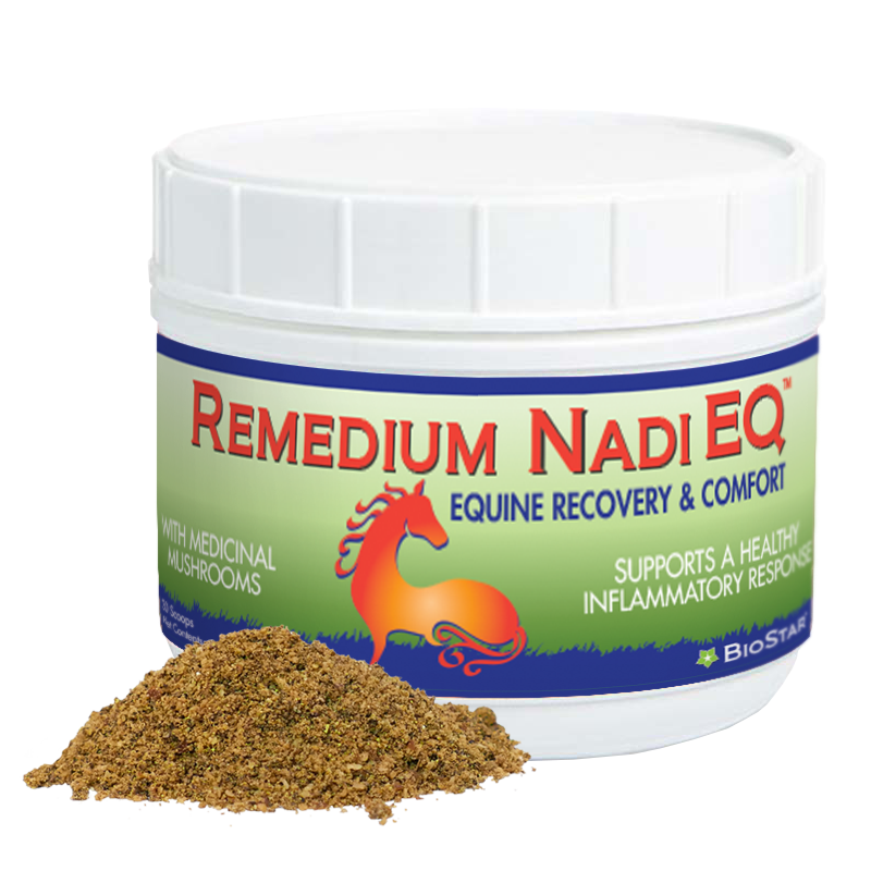 Remedium Nadi EQ-Equine Recovery & Comfort