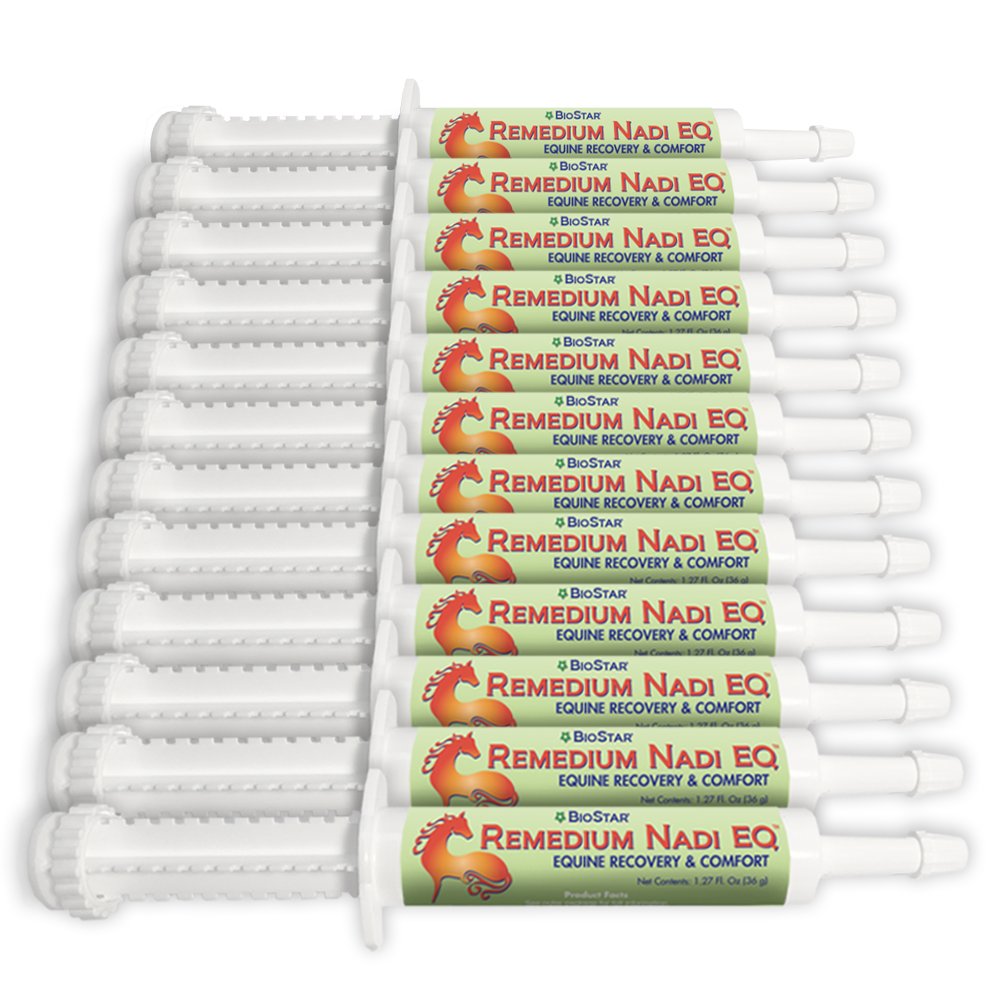 Remedium Nadi EQ-Equine Recovery & Comfort