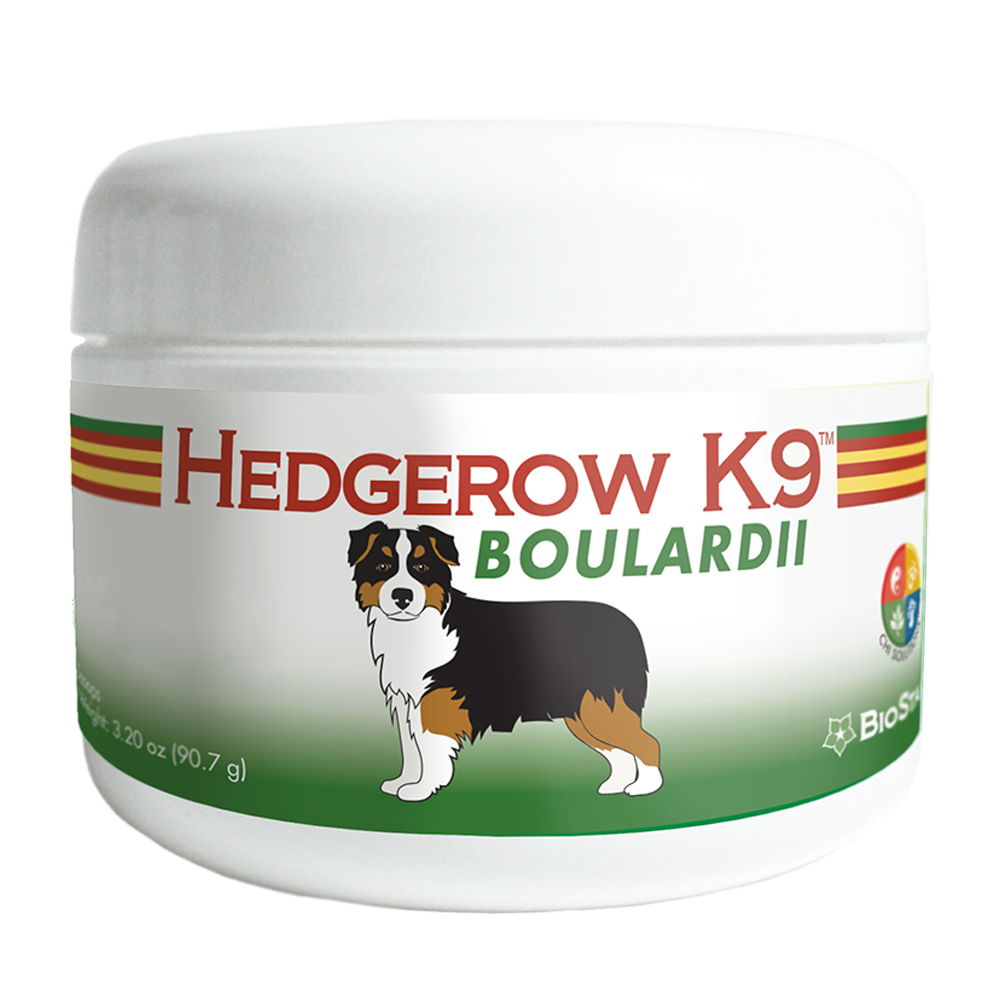 Hedgerow K9 Boulardii-Gut Support for Dogs