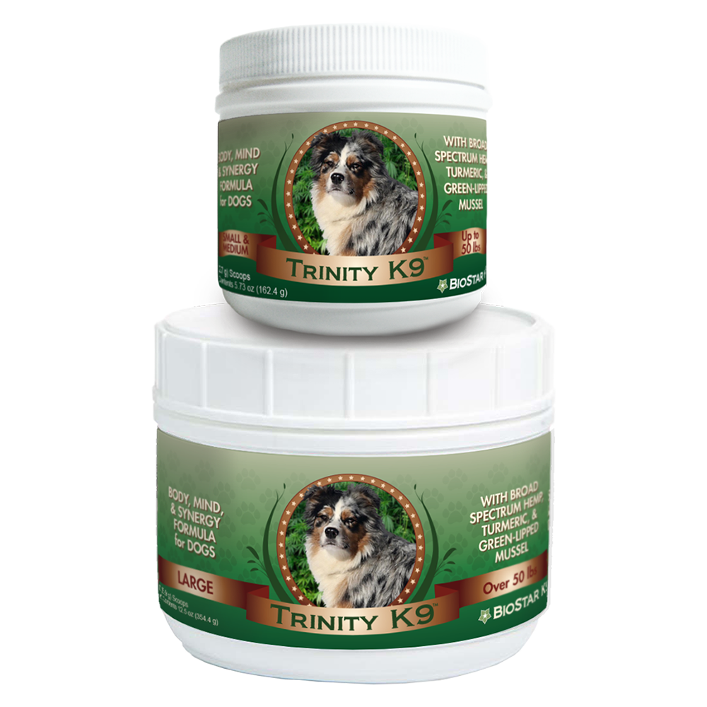 Trinity K9-Mind, Body, & Synergy