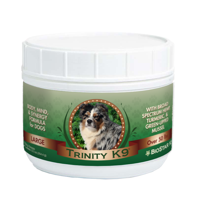 Trinity K9-Mind, Body, & Synergy