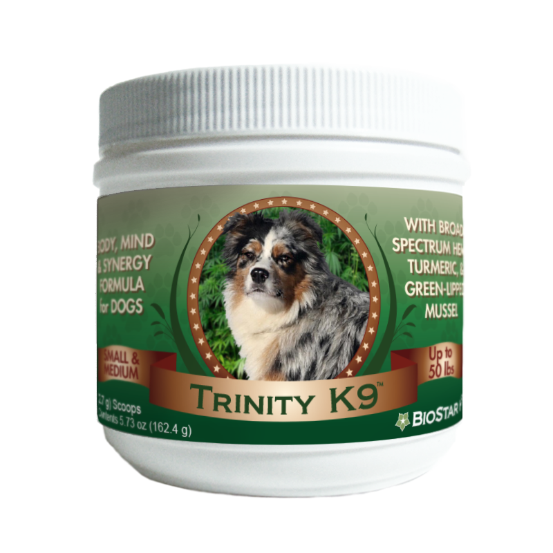 Trinity K9-Mind, Body, & Synergy
