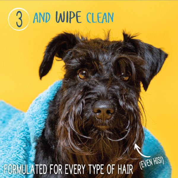 Waterless Shampoo + Conditioner (1 oz)