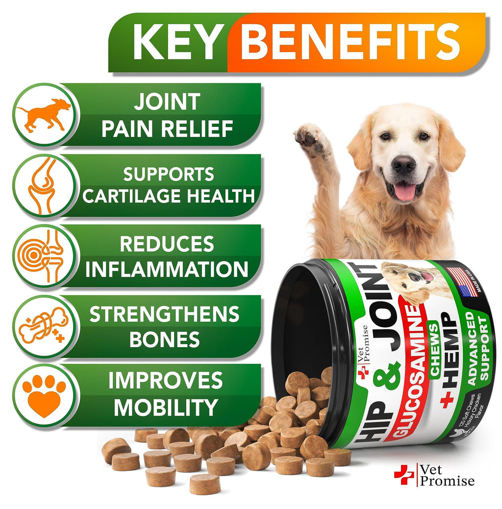 Hemp Hip & Joint Supplement for Dogs-Glucosamine-120 Chews