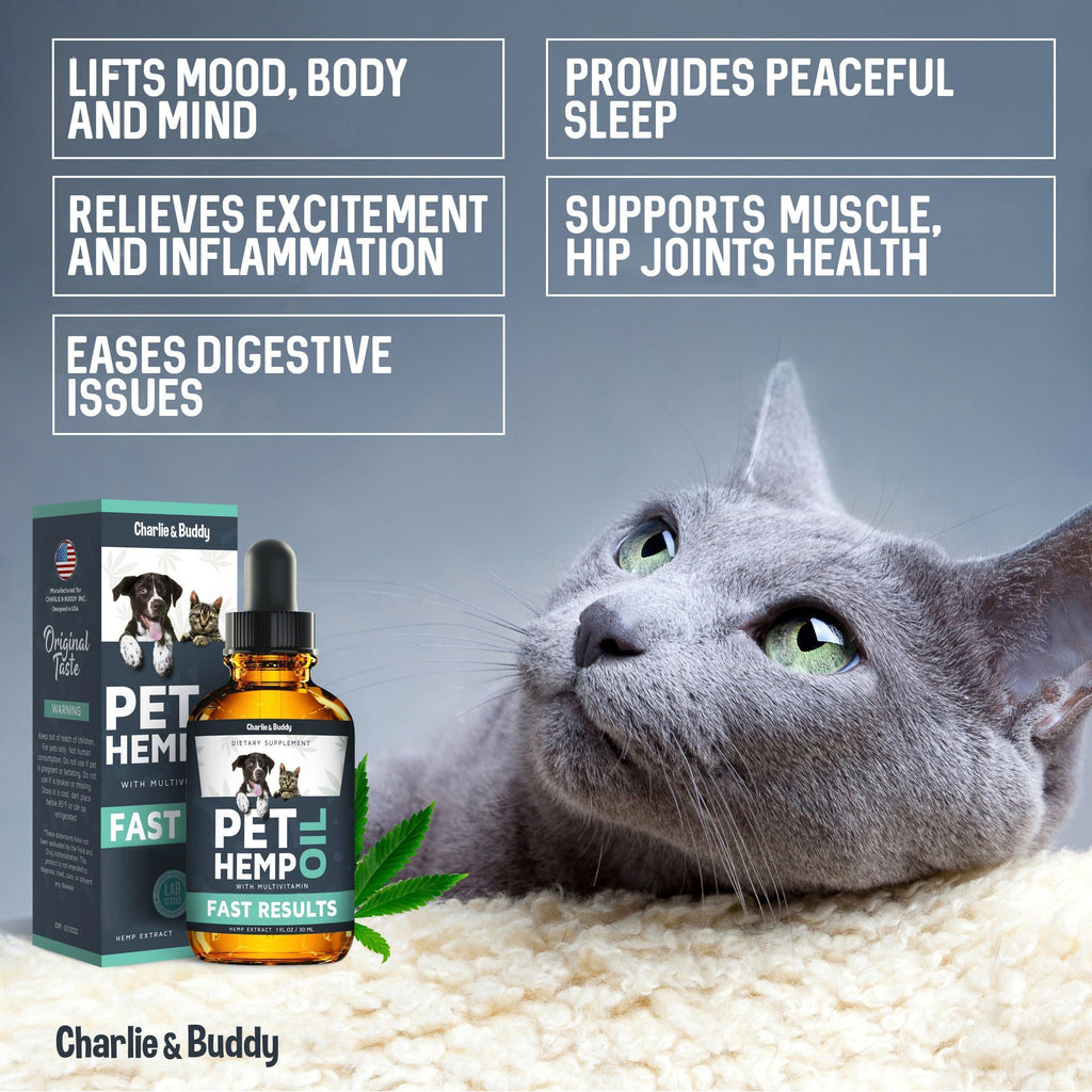 Hemp Oil for Dogs & Cats - Anxiety, Stress, Sleep, Pain, Arthritis & Joint Supplement - 1 Fl Oz