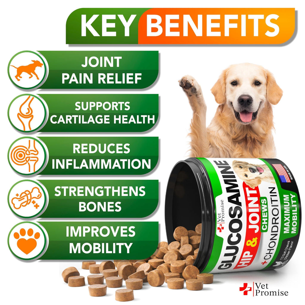 Glucosamine for Dogs-Mobility Chews-Chondroitin MSM & Hemp-170 Count