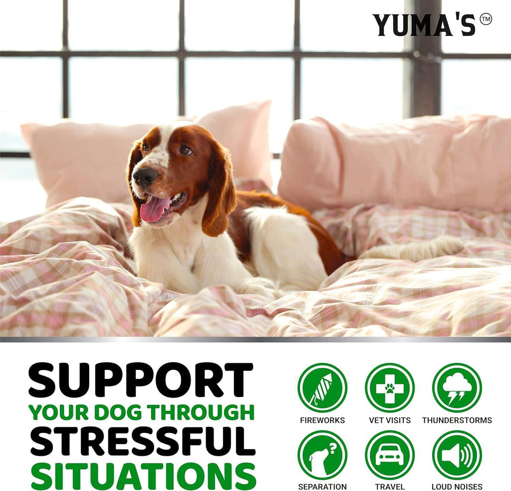Hemp Calming Chews for Dogs-2 Pack