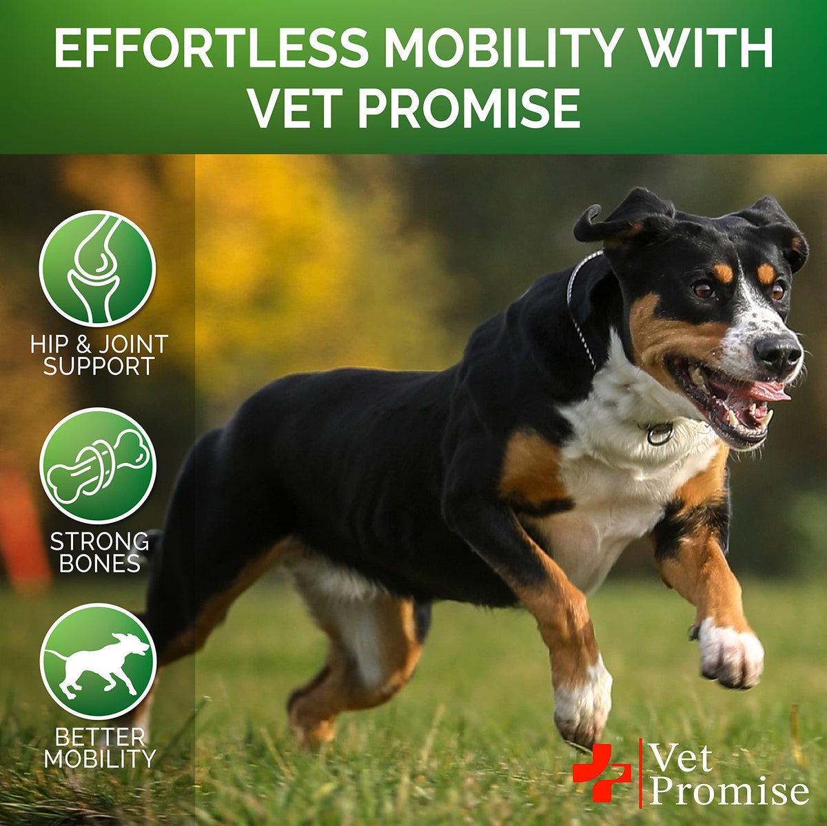 Hemp Hip & Joint Supplement for Dogs-Glucosamine-120 Chews