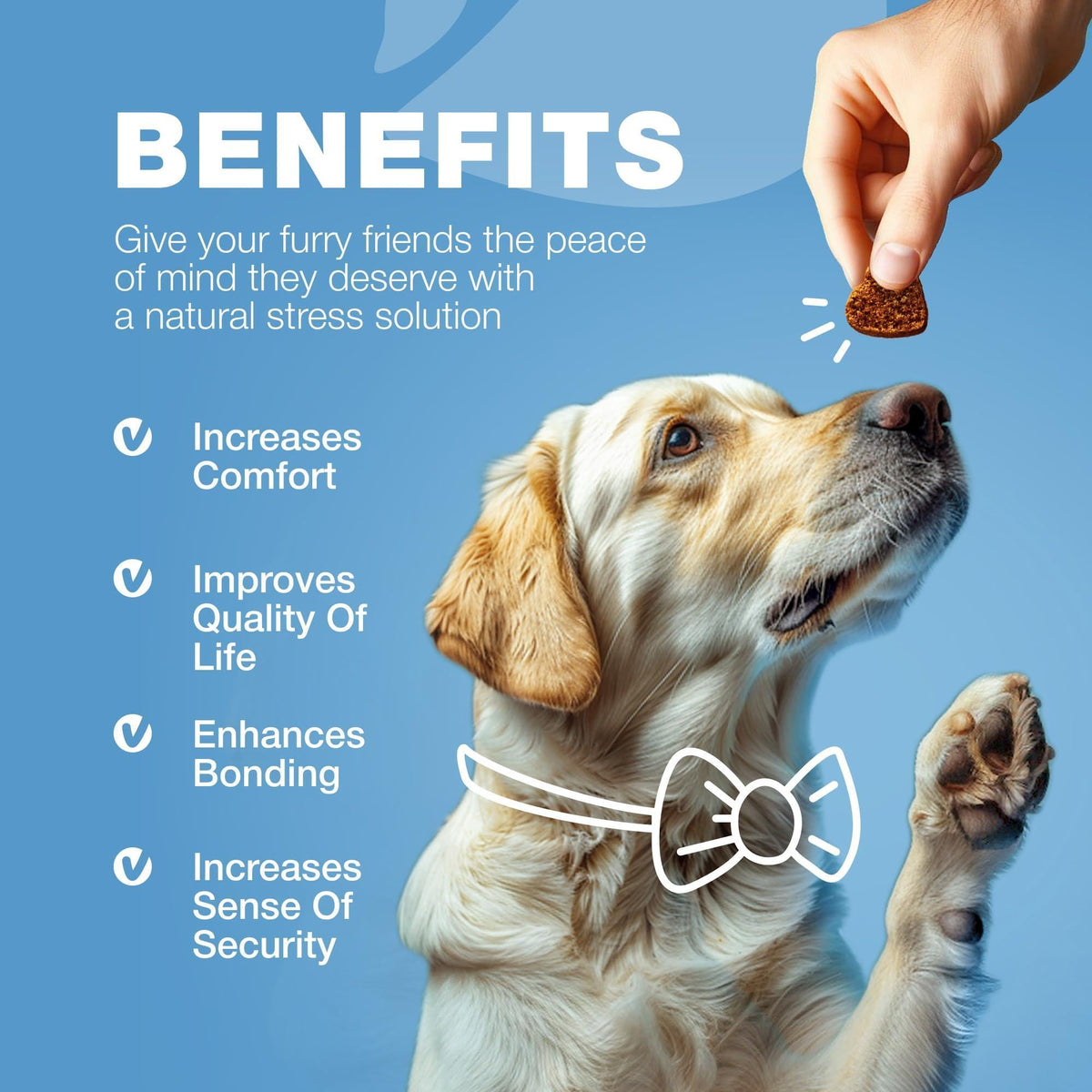 Hemp Calming Chews for Dogs-Anxiety Relief-L Theanine & Chamomile
