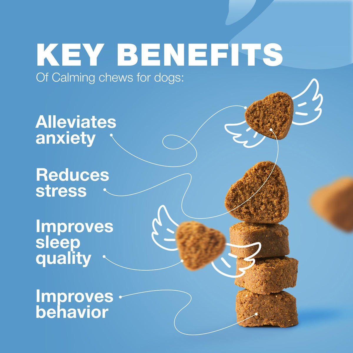 Hemp Calming Chews for Dogs-Anxiety Relief-L Theanine & Chamomile